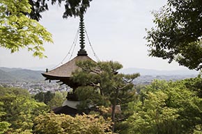 そうだ 京都、行こう。 常寂光寺