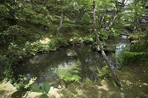 そうだ 京都、行こう。 常寂光寺