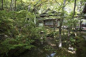 そうだ 京都、行こう。 常寂光寺