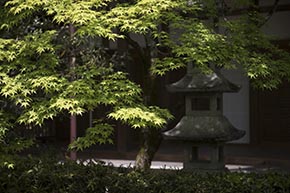 そうだ 京都、行こう。 常寂光寺