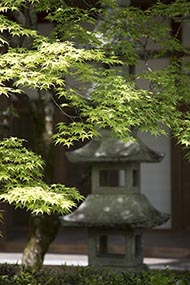 そうだ 京都、行こう。 常寂光寺