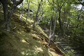 そうだ 京都、行こう。 常寂光寺