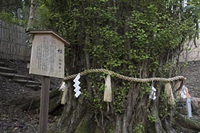 そうだ 京都、行こう。 貴船神社