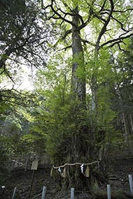 そうだ 京都、行こう。 貴船神社