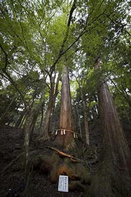 そうだ 京都、行こう。 貴船神社