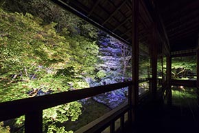 そうだ 京都、行こう。 瑠璃光院