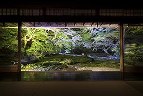 そうだ 京都、行こう。 瑠璃光院