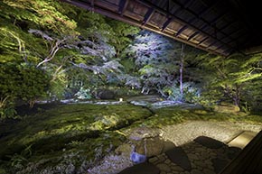 そうだ 京都、行こう。 瑠璃光院