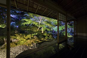 そうだ 京都、行こう。 瑠璃光院