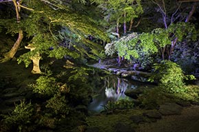 そうだ 京都、行こう。 瑠璃光院