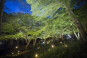 そうだ 京都、行こう。 八瀬もみじの小径