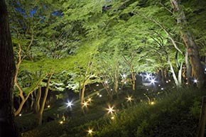 そうだ 京都、行こう。 八瀬もみじの小径