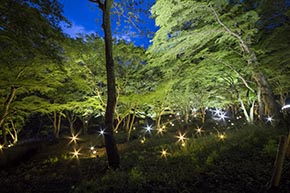 そうだ 京都、行こう。 八瀬もみじの小径