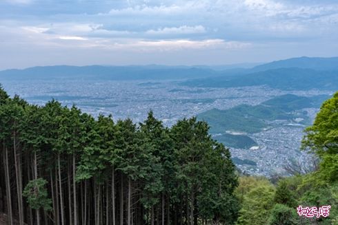 そうだ 京都、行こう。