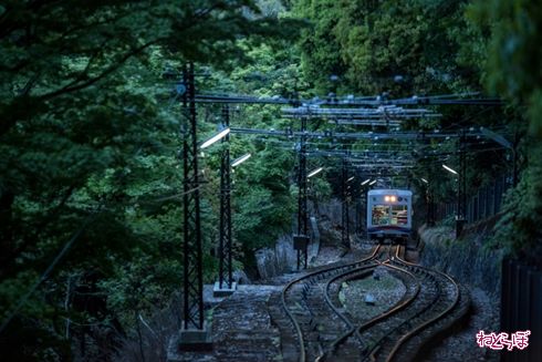 そうだ 京都、行こう。