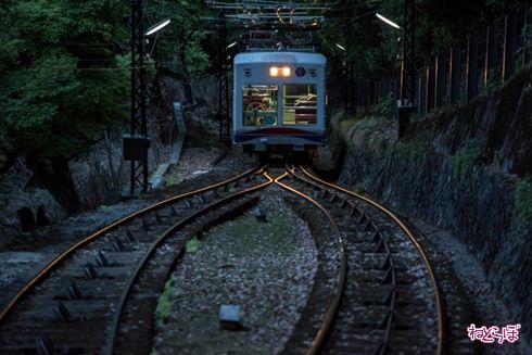 そうだ 京都、行こう。