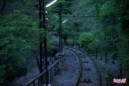 そうだ 京都、行こう。