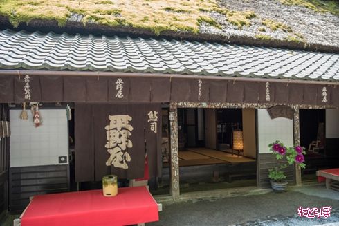 そうだ 京都、行こう。