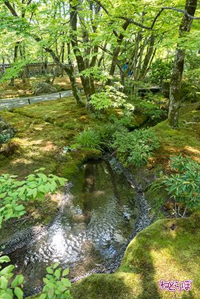 そうだ 京都、行こう。