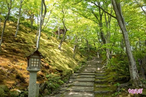 そうだ 京都、行こう。