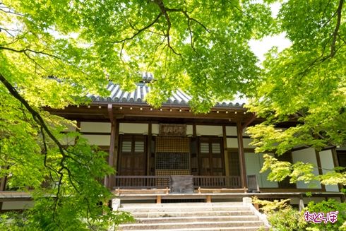 そうだ 京都、行こう。