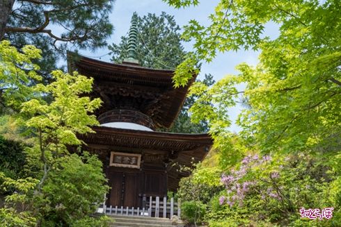 そうだ 京都、行こう。