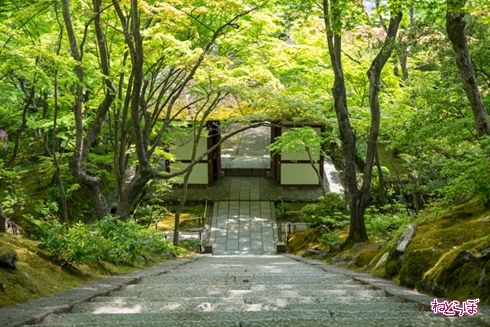 そうだ 京都、行こう。