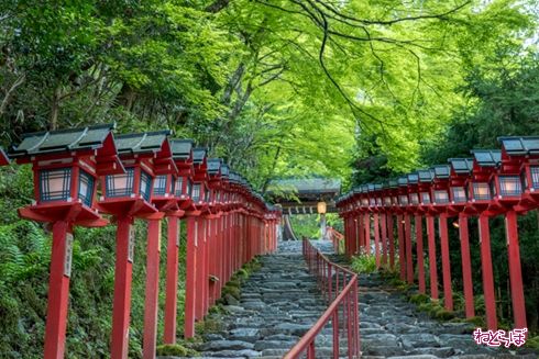 そうだ 京都、行こう。