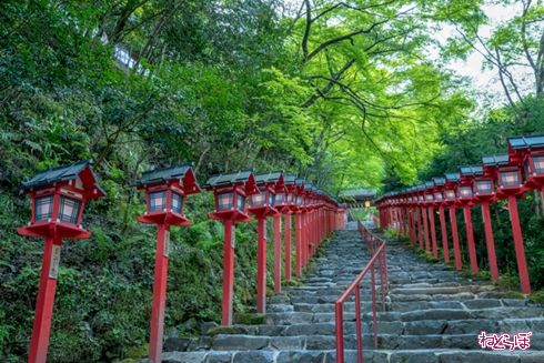 そうだ 京都、行こう。