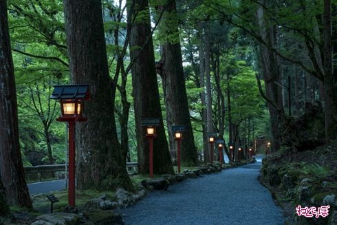 そうだ 京都、行こう。