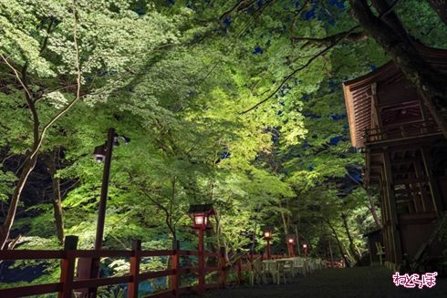 そうだ 京都、行こう。