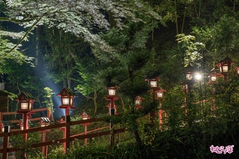 そうだ 京都、行こう。