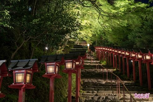 そうだ 京都、行こう。