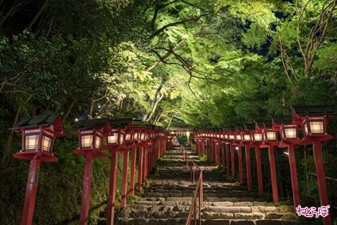 そうだ 京都、行こう。