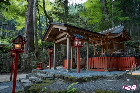 そうだ 京都、行こう。