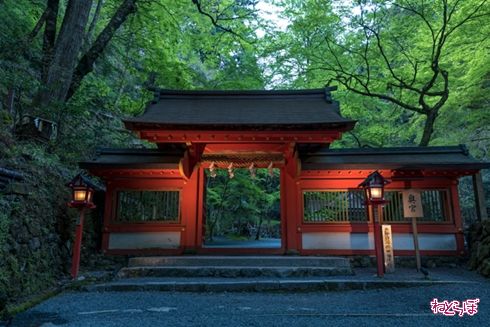 そうだ 京都、行こう。