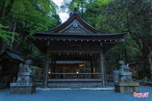 そうだ 京都、行こう。