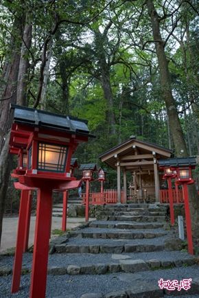 そうだ 京都、行こう。