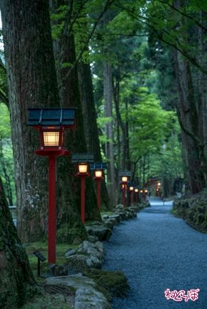 そうだ 京都、行こう。