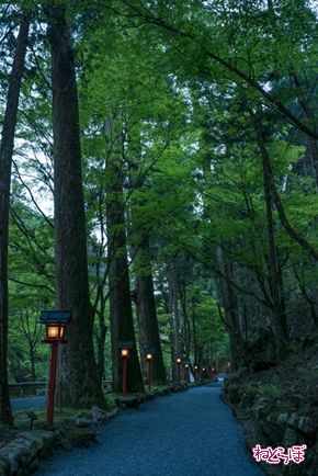 そうだ 京都、行こう。