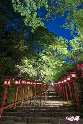 そうだ 京都、行こう。