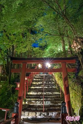 そうだ 京都、行こう。