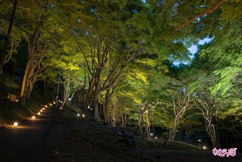 そうだ 京都、行こう。