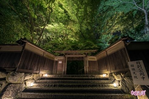 そうだ 京都、行こう。