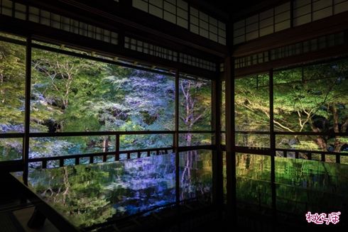 そうだ 京都、行こう。