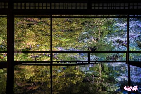 そうだ 京都、行こう。