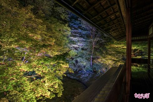 そうだ 京都、行こう。