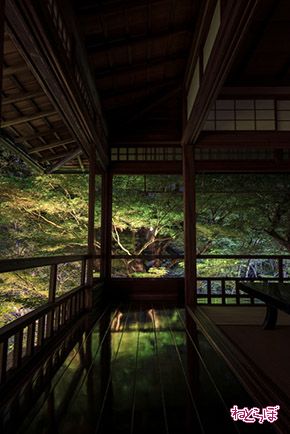 そうだ 京都、行こう。