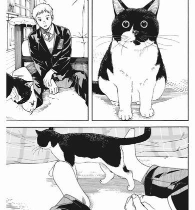 猫のお寺の知恩さん セリフ　話題