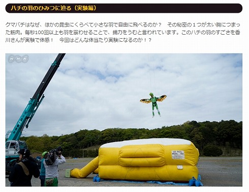 前田亜美 AKB48 NHK 昆虫すごいぜ 香川照之 カマキリ クマバチ 再放送